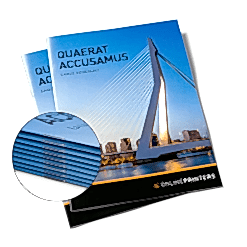 Брошюры, прошитые внакидку