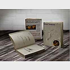 Сотри зиму ластиком… Сотри зиму ластиком…