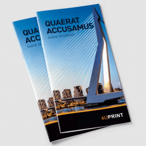 Брошюры, DL special Брошюры, DL special