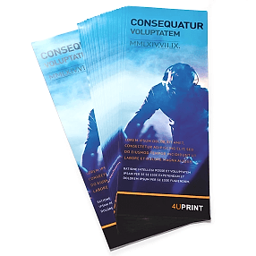 Плакаты, A0-Half (красочность 4/0) Плакаты, A0-Half (красочность 4/0)