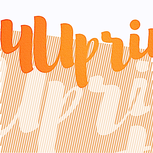 85 x 55 мм 85 x 55 мм